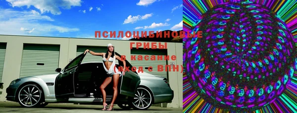 стаф Белокуриха