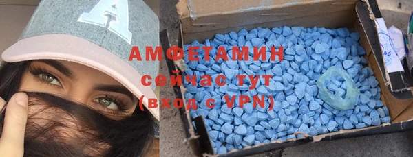 стаф Белокуриха