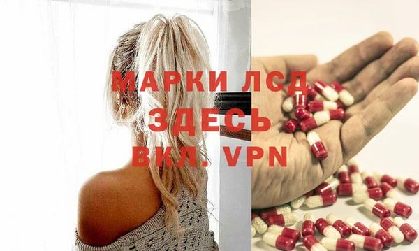 стаф Белокуриха