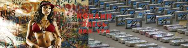 стаф Белокуриха