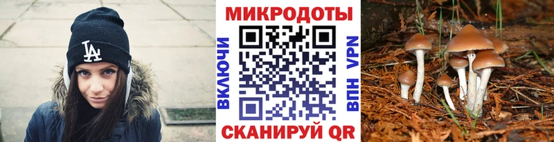 Купить где  Котово  Галлюциногенные грибы мицелий 